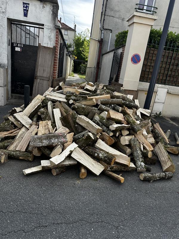 Livraison — tas de bûches de chauffage sur la voie